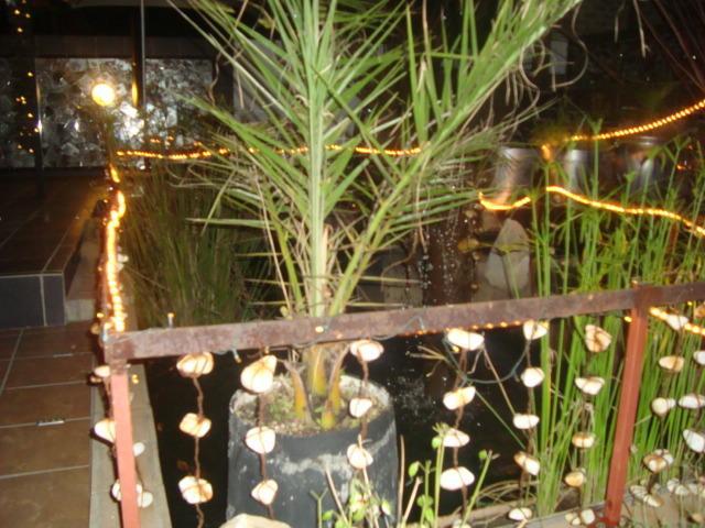 44 On Ennis Guest Lodge And Restaurant - No Load Sheddding 에르멜로 외부 사진