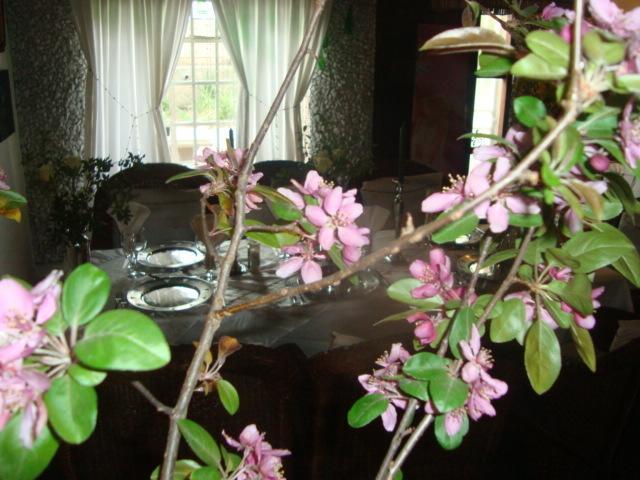 44 On Ennis Guest Lodge And Restaurant - No Load Sheddding 에르멜로 외부 사진