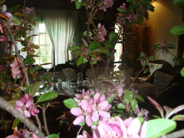 44 On Ennis Guest Lodge And Restaurant - No Load Sheddding 에르멜로 외부 사진